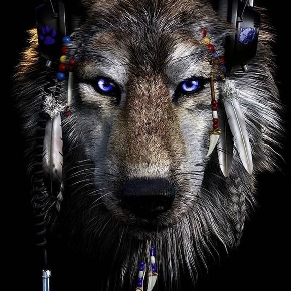 Meet your Posher, Chris - Picture 1 of 1